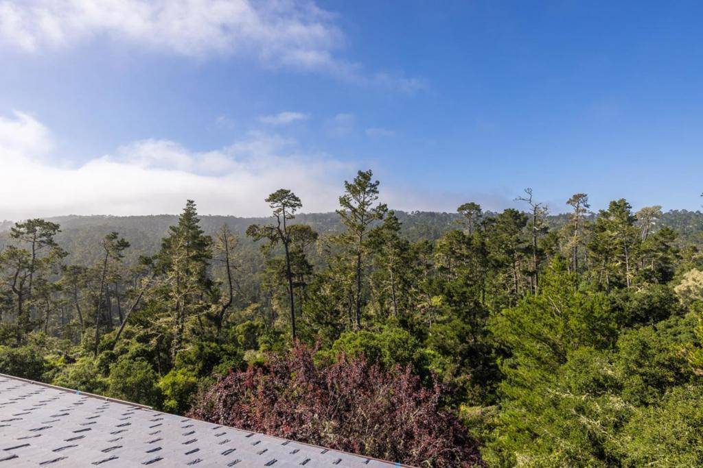 Carmel, CA 93923,24308 San Juan RD