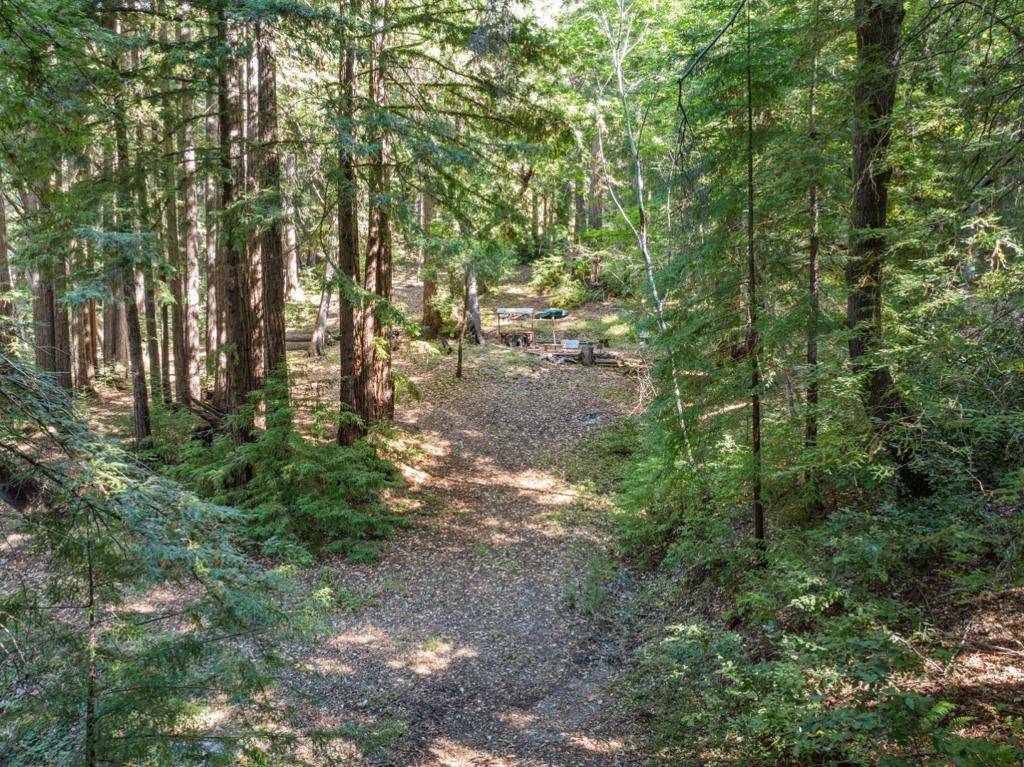 Boulder Creek, CA 95006,19900 Kings Creek RD