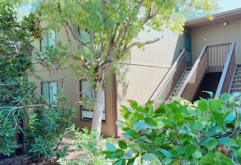 73 Pearce Mitchell PL,  Stanford,  CA 94305