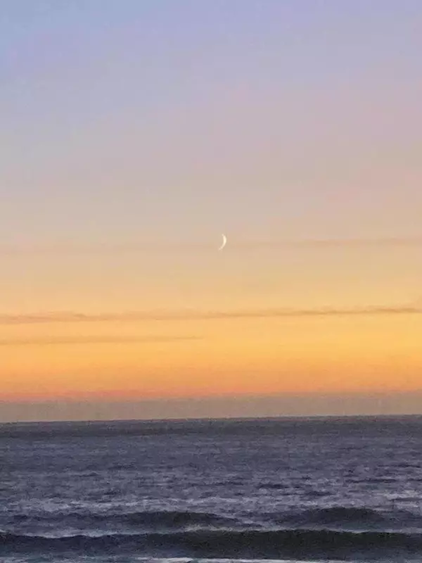 Whitethorn, CA 95589,371 Upper Pacific DR