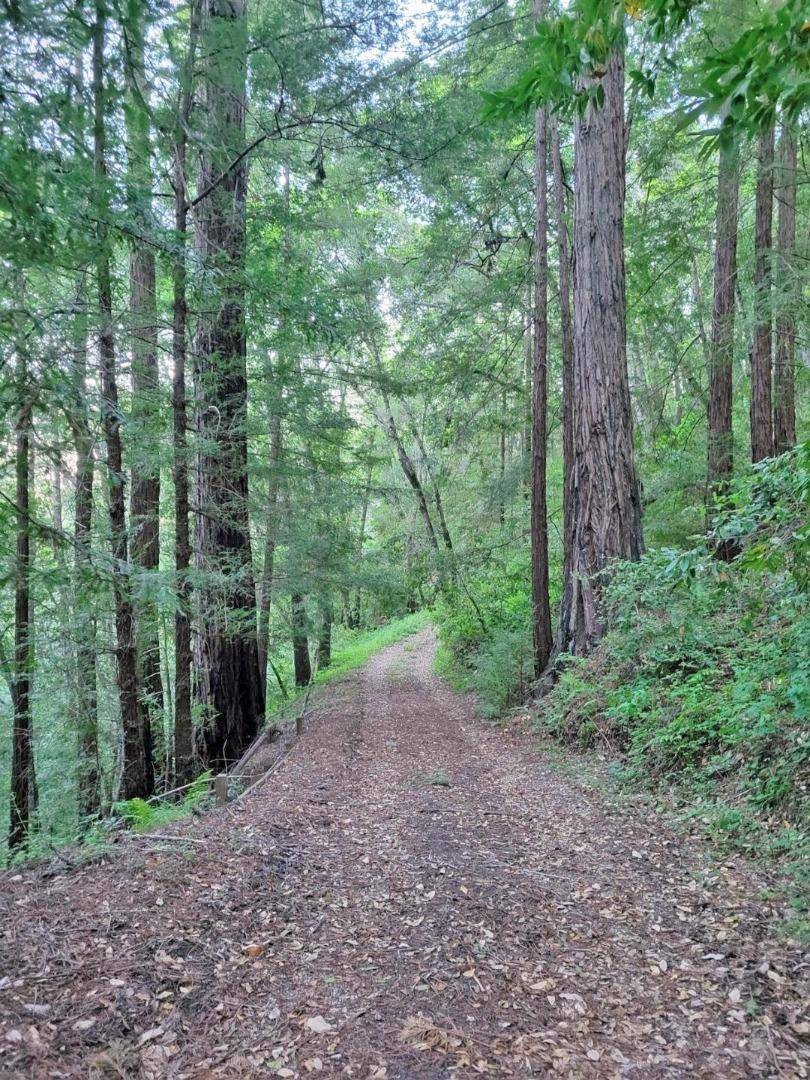 241 Blue Jay WAY, Felton, CA 95018