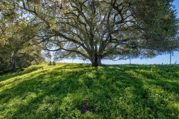 San Jose, CA 95127,Address not disclosed