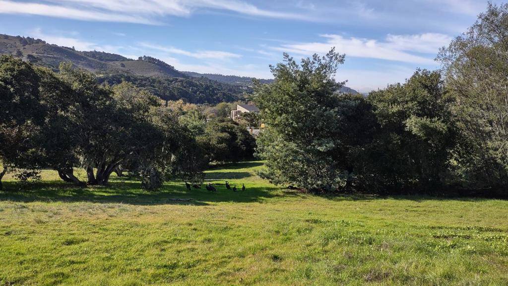 24480 Citation CT, Monterey, CA 93940