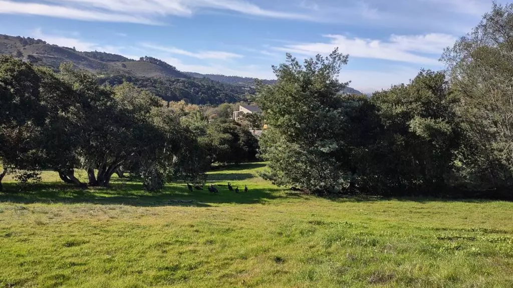 Monterey, CA 93940,24480 Citation CT