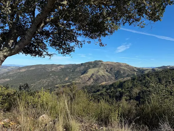 Carmel, CA 93923,70 Chamisal