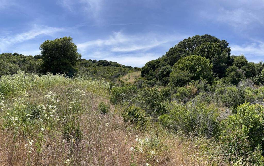 0 Knobcone DR, Richmond, CA 94803