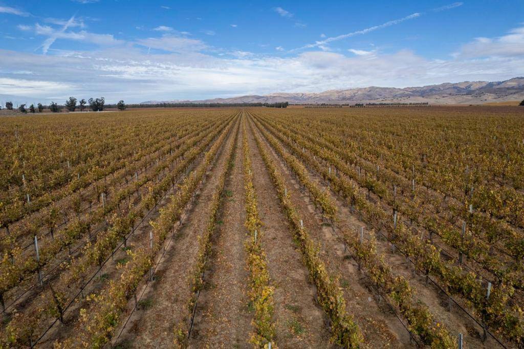 Soledad, CA 93960,31102 Camphora Gloria RD