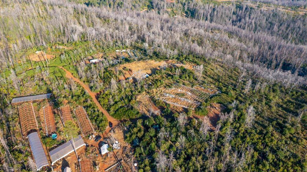 Berry Creek, CA 95916,175 Bonnie Meadow LN
