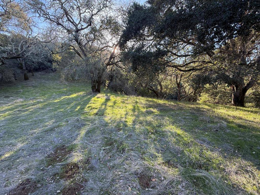 Morgan Hill, CA 95037,0 Chesbro Lake DR