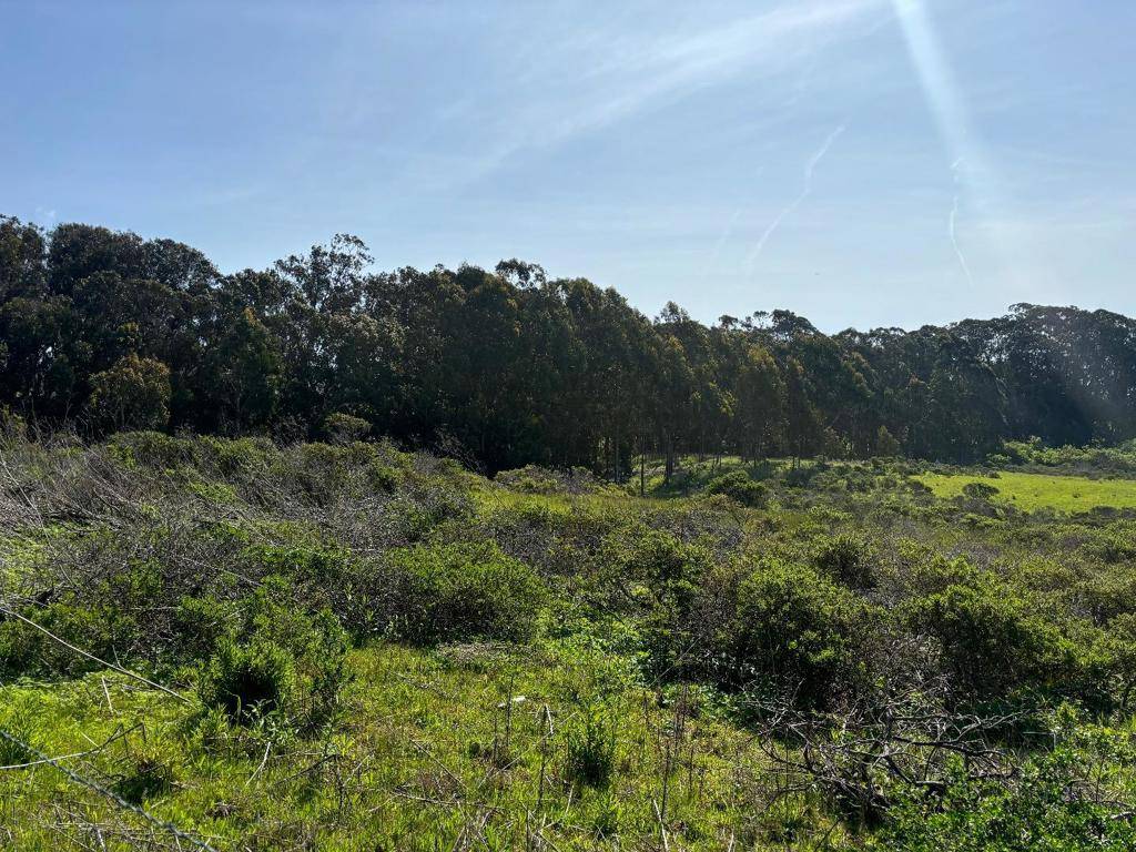 Half Moon Bay, CA 94019,0 Portola AVE