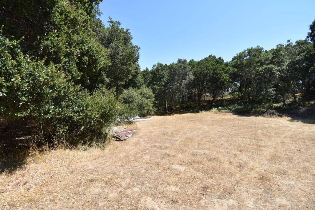 San Juan Bautista, CA 95045,Alexander LN