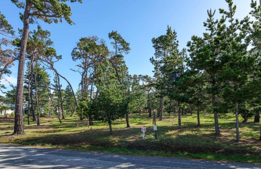 Pebble Beach, CA 93953,25 Poppy LN