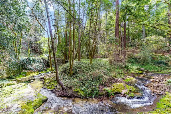 Ben Lomond, CA 95005,10135 Love Creek RD