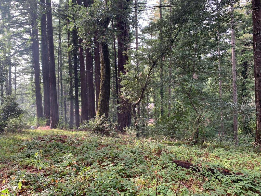 Woodside, CA 94062,27 Big Tree WAY