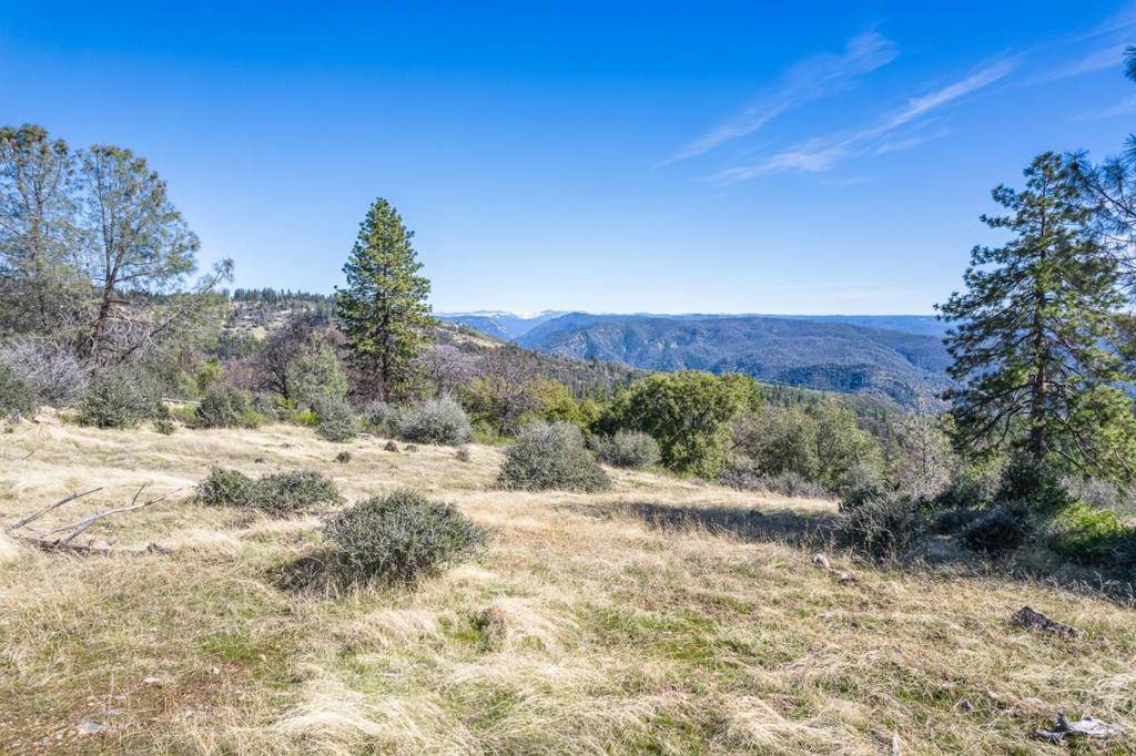 Murphys, CA 95247,0 N Forest