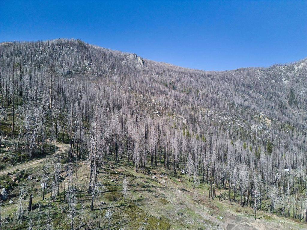 Springville, CA 93265,0 Alpine DR