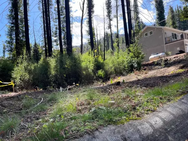 Boulder Creek, CA 95006,115 Fallen Leaf DR