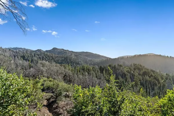 21200 Big Basin WAY, Boulder Creek, CA 95006