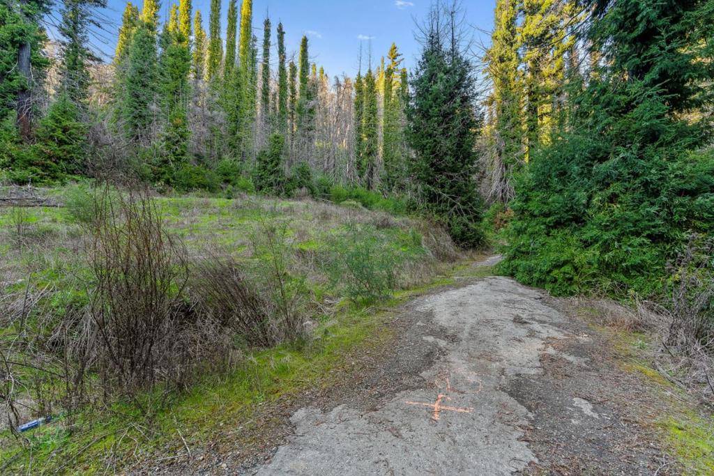 Boulder Creek, CA 95006,21200 Big Basin WAY