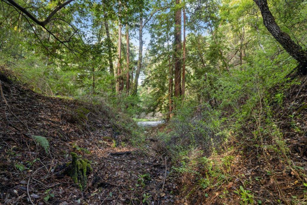Felton, CA 95018,Lake BLVD