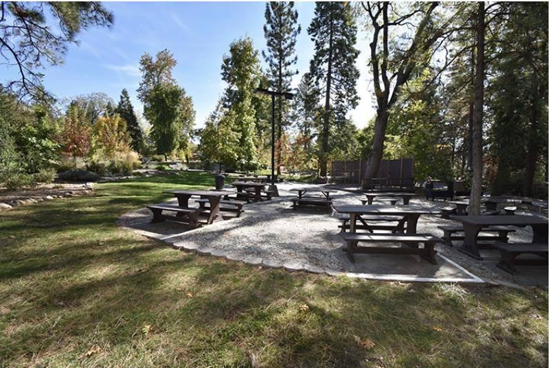 Murphys, CA 95247,280 Forest Meadows DR