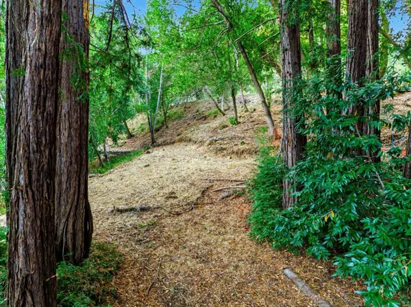 Woodside, CA 94062,18 Montecito