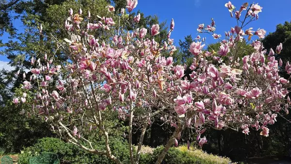 Aptos, CA 95003,925 Skyward DR