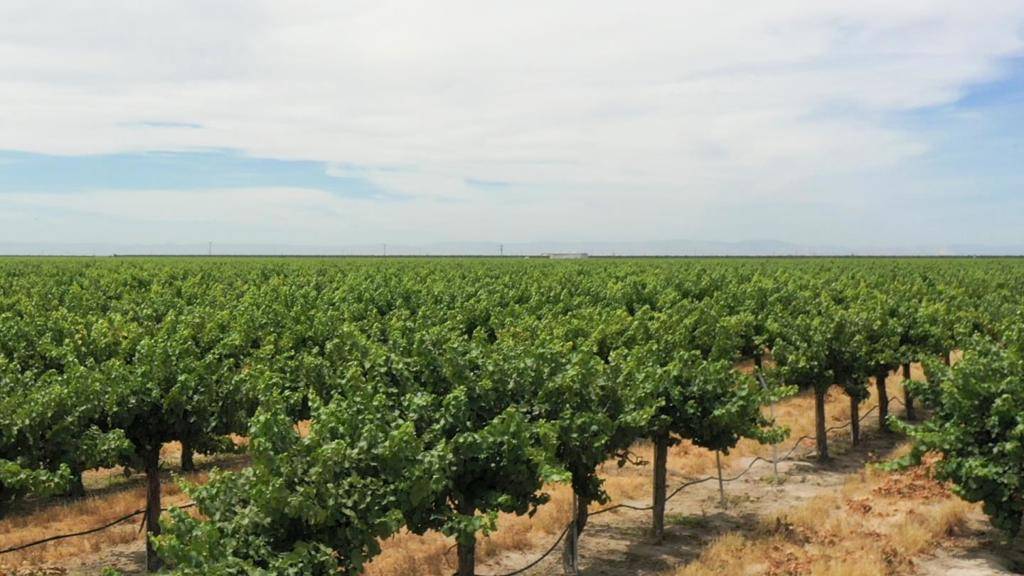 20650 Road 21, Madera, CA 93639