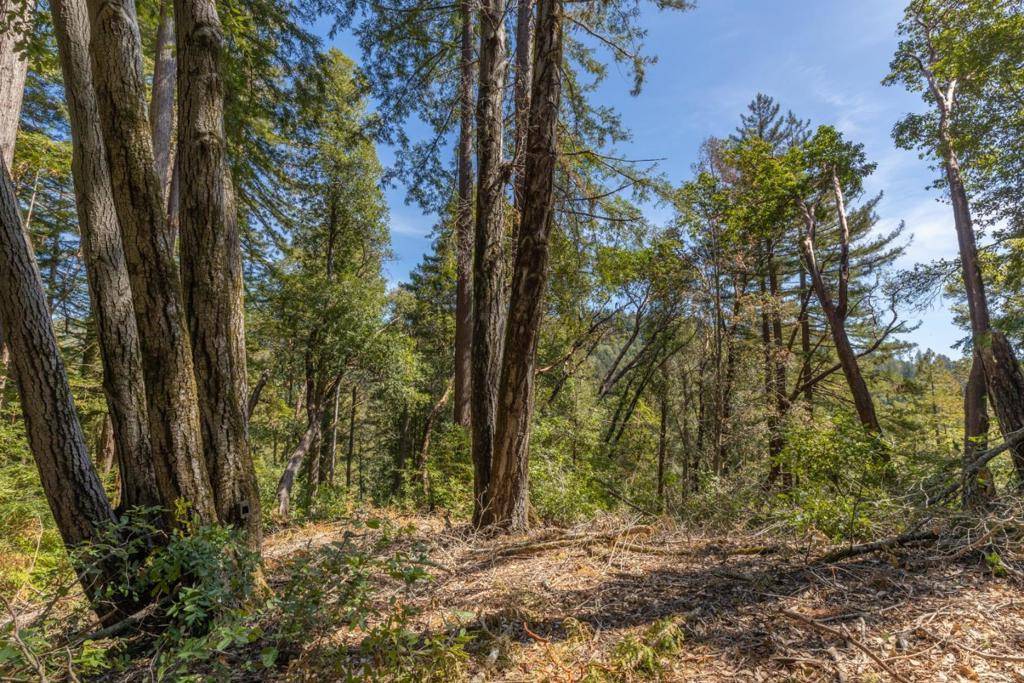 Brookdale, CA 95007,333 Western Avenue