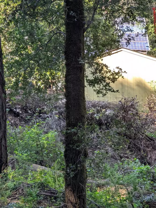 Felton, CA 95018,11259 Fresco ST