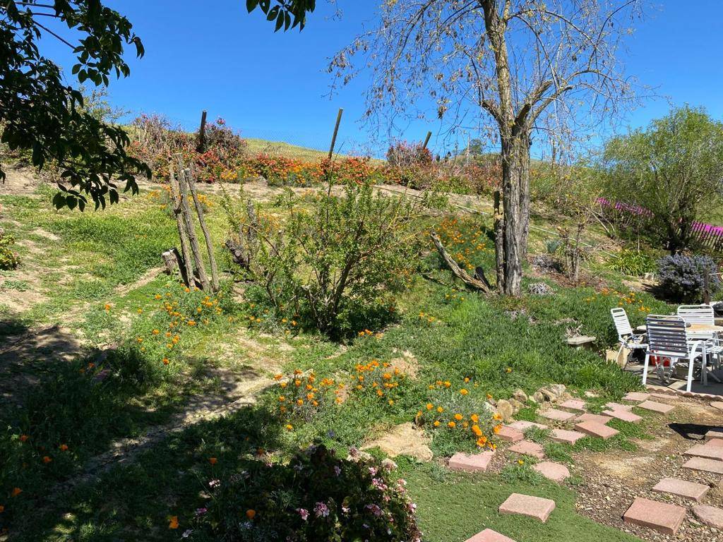 Milpitas, CA 95035,3463 Calaveras RD