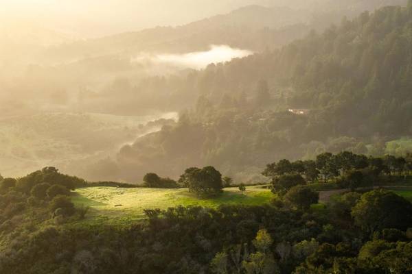 17 Rancho San Carlos Road (Lot 4), Carmel, CA 93923