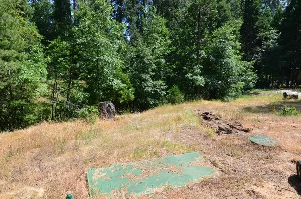 Avery, CA 95224,662 Roan WAY