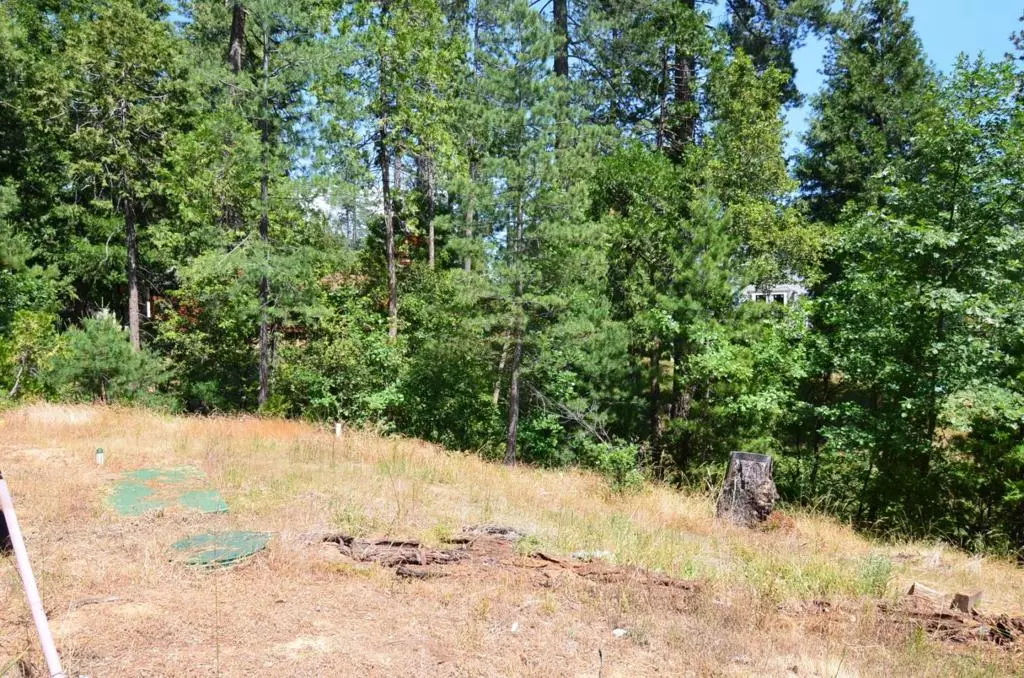 Avery, CA 95224,662 Roan WAY