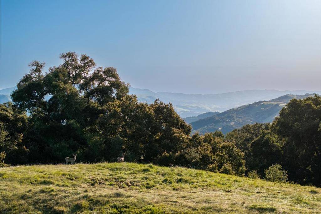 Carmel, CA 93923,52 Chamisal Pass (Lot 136)