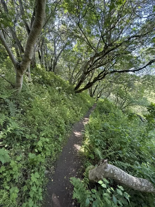 Belmont, CA 94002,0 Bartlett WAY