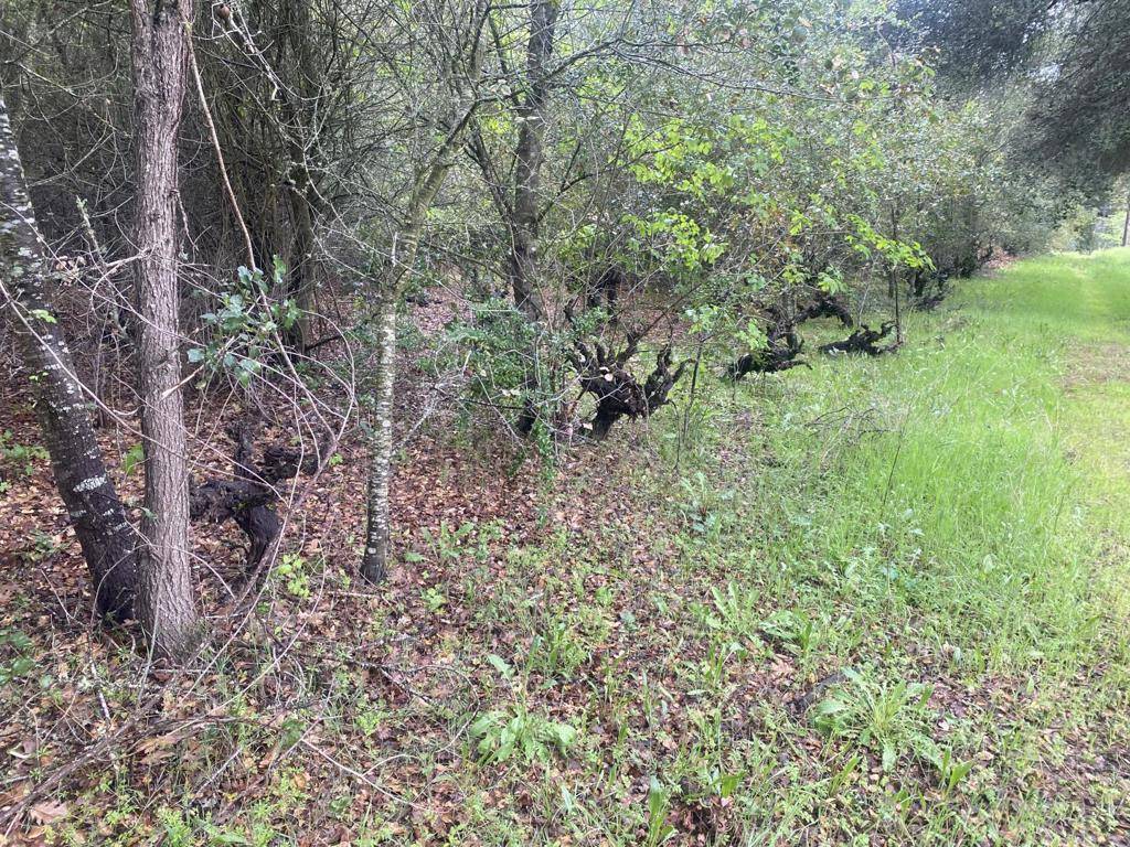 Gilroy, CA 95020,0 Hecker Pass