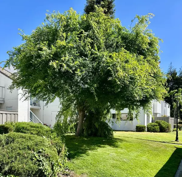 San Jose, CA 95133,1055 N Capitol AVE #17