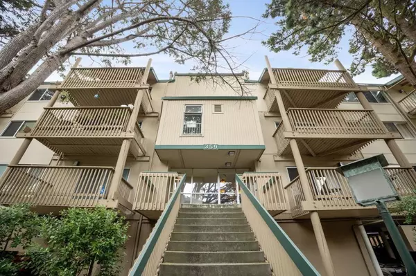Daly City, CA 94015,359 Half Moon LN #113