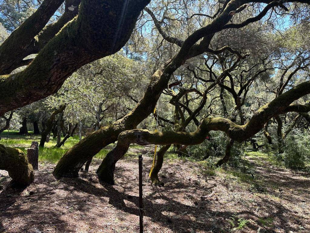 Scotts Valley, CA 95066,0 Hidden Glen DR