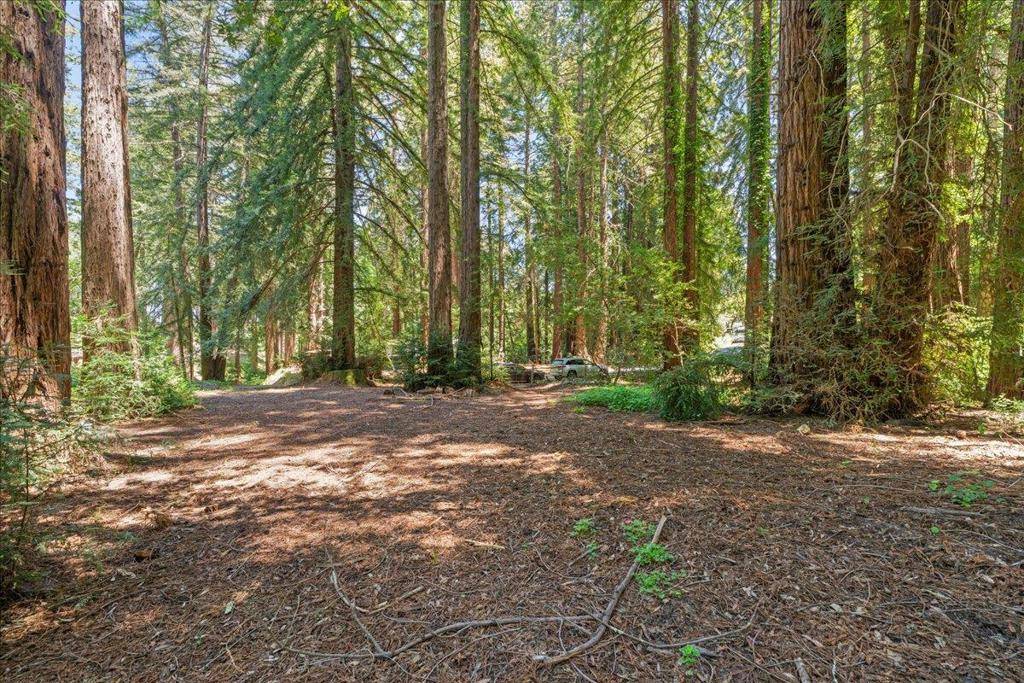 Los Gatos, CA 95030,0 Grove ST