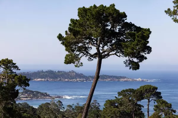 Carmel, CA 93923,24728 San Carlos ST