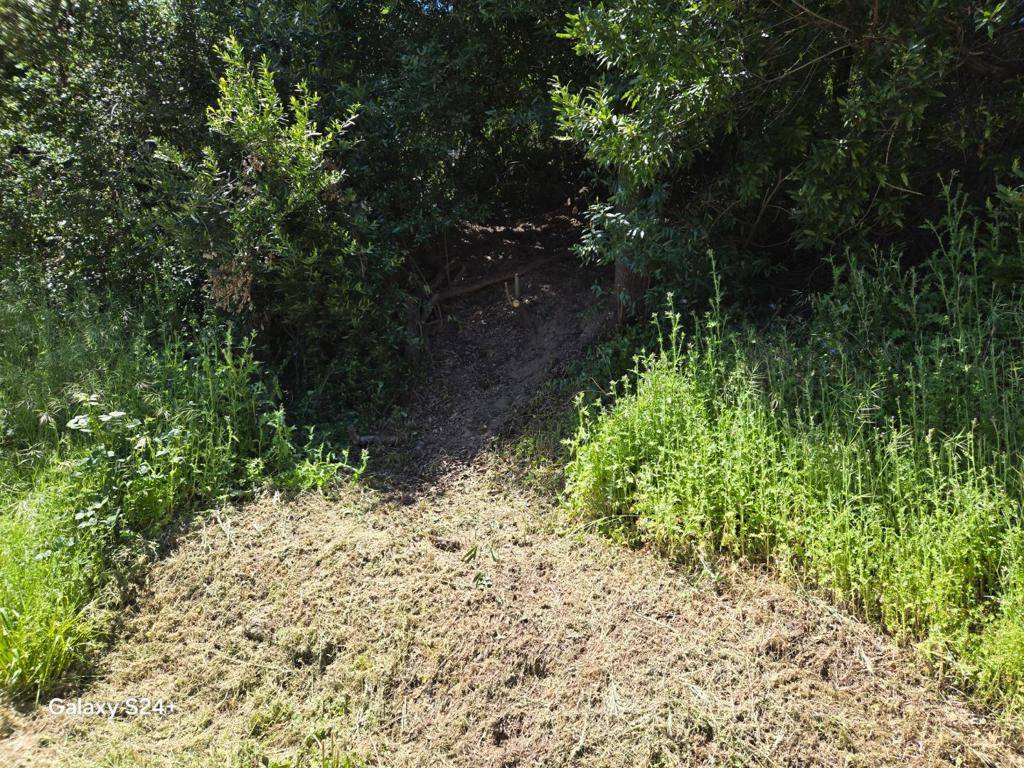 Los Gatos, CA 95033,0 OldSantaCruzHwy