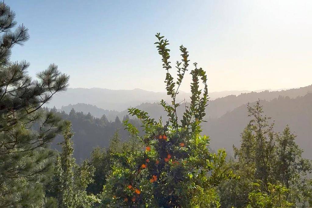 Los Gatos, CA 95033,1315 Sunset Ridge RD