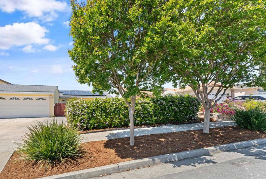 3173 Hostetter RD, San Jose, CA 95132