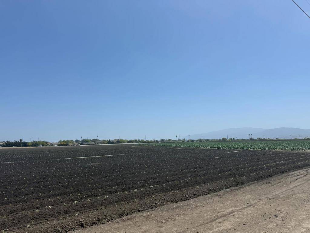 Salinas, CA 93907,1202 Castroville RD