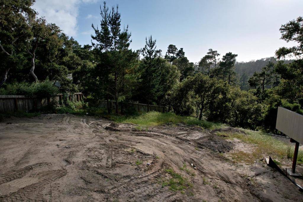 Carmel, CA 93923,24424 San Juan RD