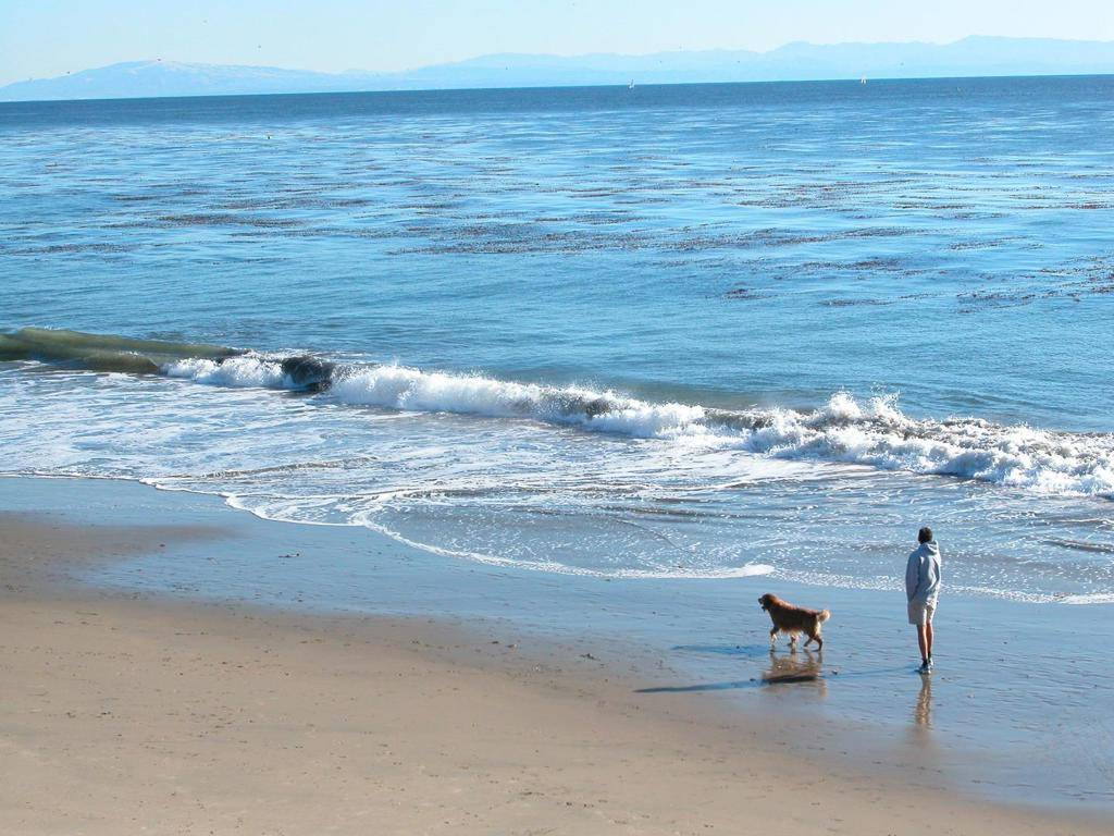Santa Cruz, CA 95060,148 Mason ST