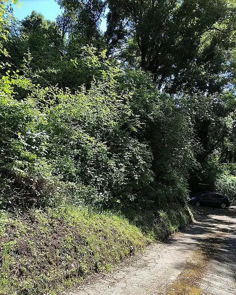 0 Farr AVE, Aptos, CA 95003