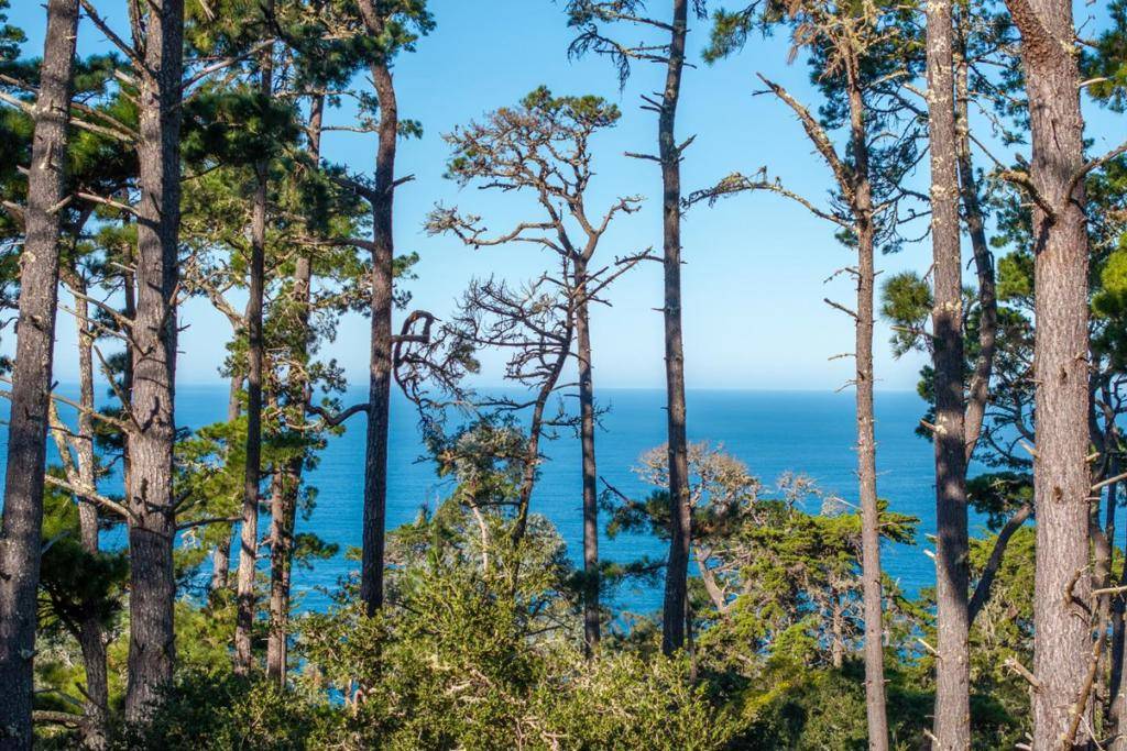 Carmel, CA 93923,90 Crest Road